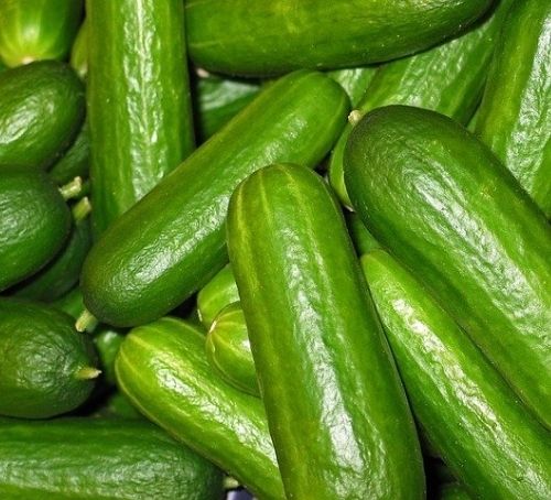 How Does Cucumber Help in Weight Loss