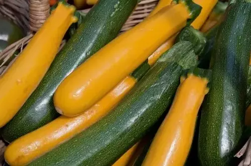 How To Eat Zucchini For Weight Loss?