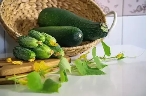 How To Eat Zucchini For Weight Loss?